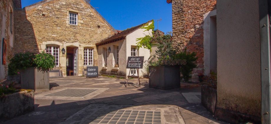 Propriété Noyers sur Serein (intra-muros) Propriété Noyers sur Serein (intra-muros)