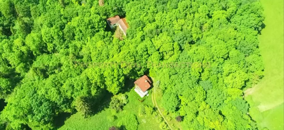 Treigny – Superbe propriété sur 3ha 6ca Treigny – Superbe propriété sur 3ha 6ca