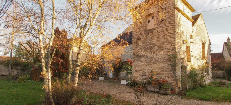 Grande Propriété proche Noyers sur Serein Grande Propriété proche Noyers sur Serein