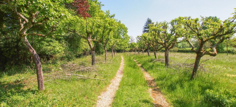 Treigny – Superbe propriété sur 3ha 6ca Treigny – Superbe propriété sur 3ha 6ca