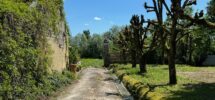 Proche Tonnerre Grande maison ancienne et dépendances